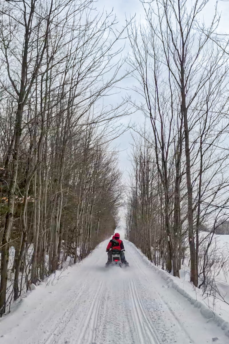 Motoneige entre les arbres dans les Laurentides