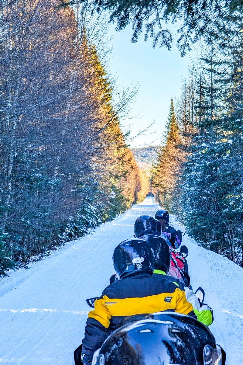 Motoneige dans la forêt, Laurentides