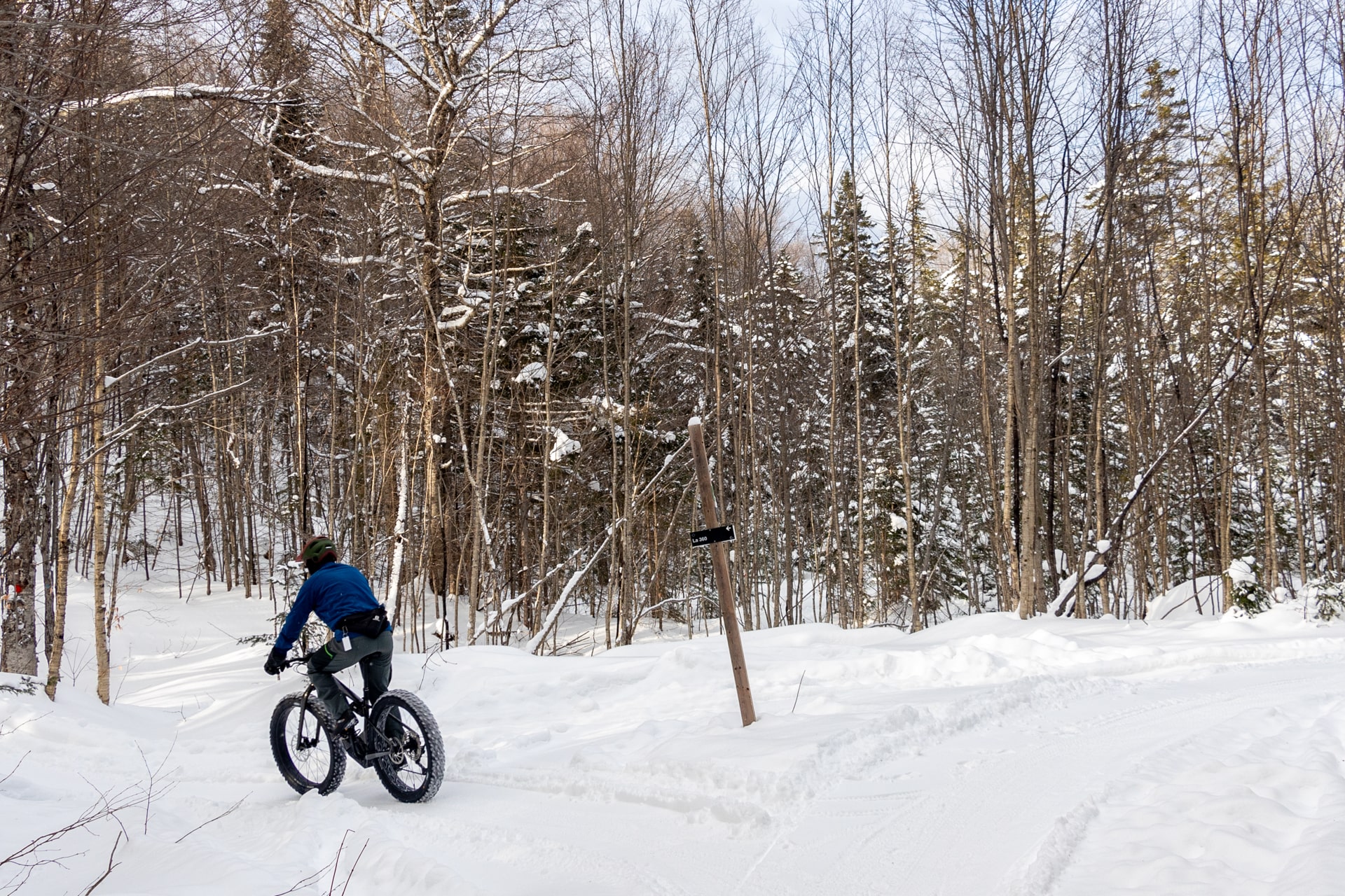 Fat bike au Quebec