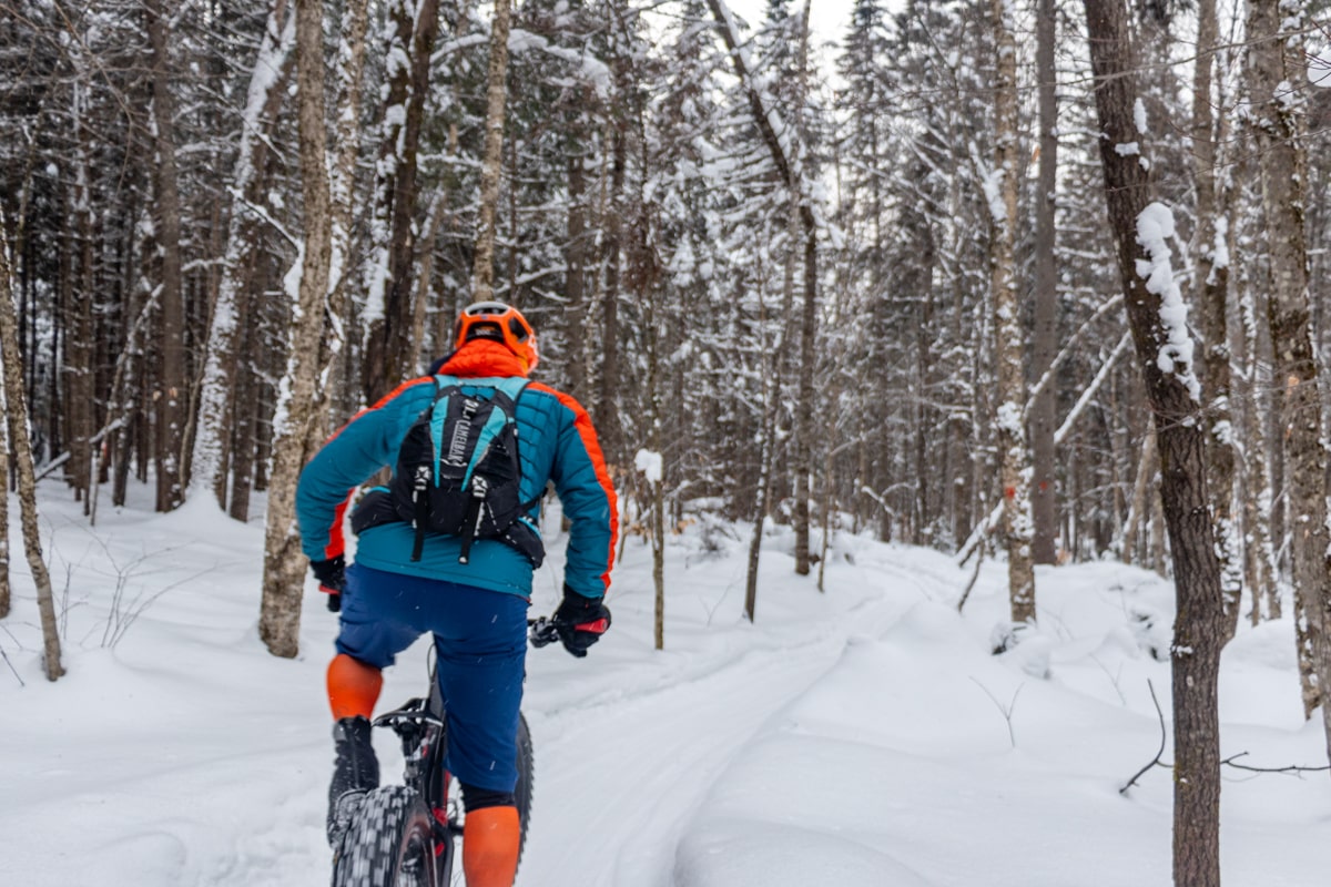 Forêt au Quebec