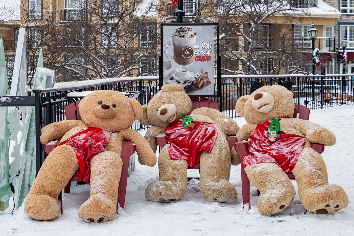 Ours en peluche au Mont Tremblant