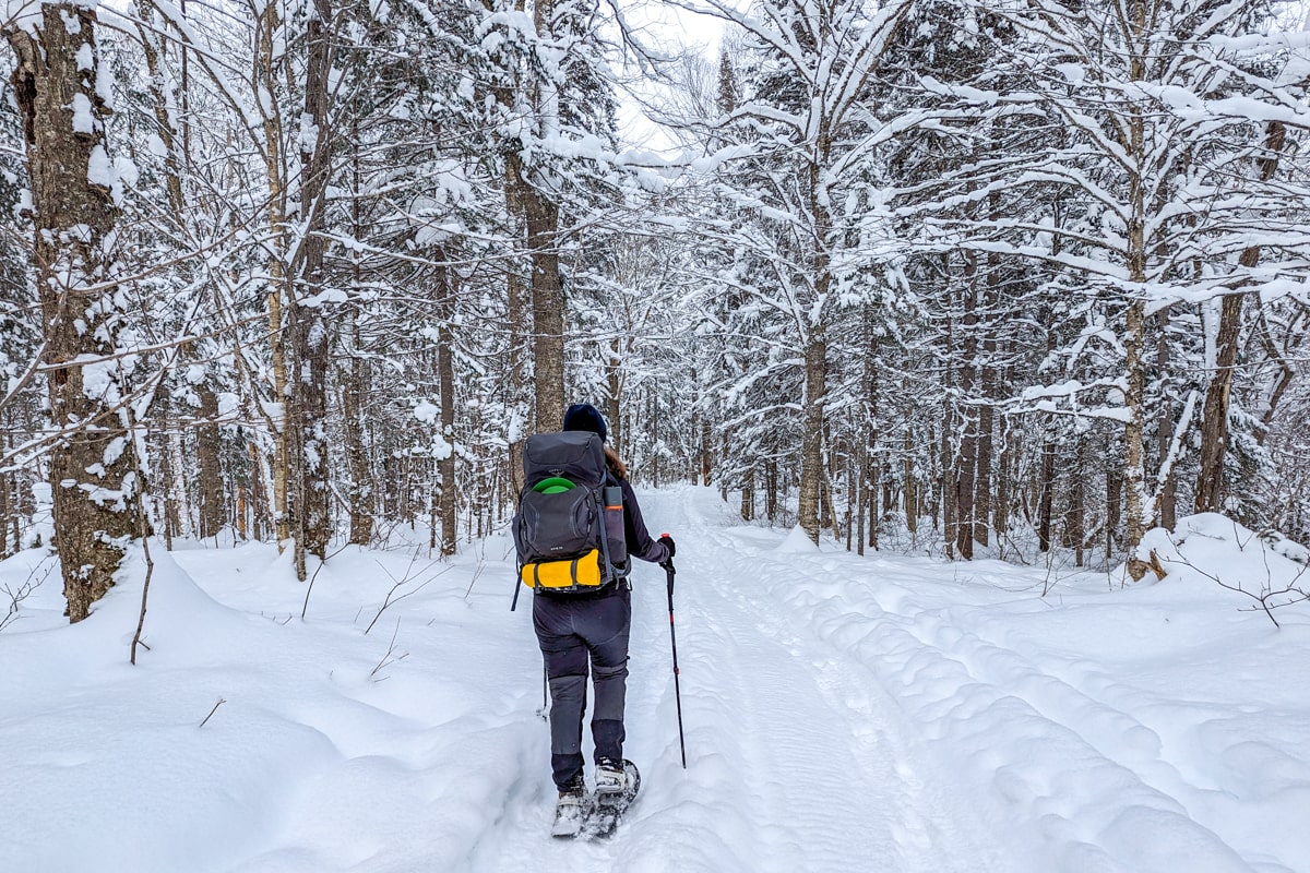 Randonnée en raquettes au Quebec