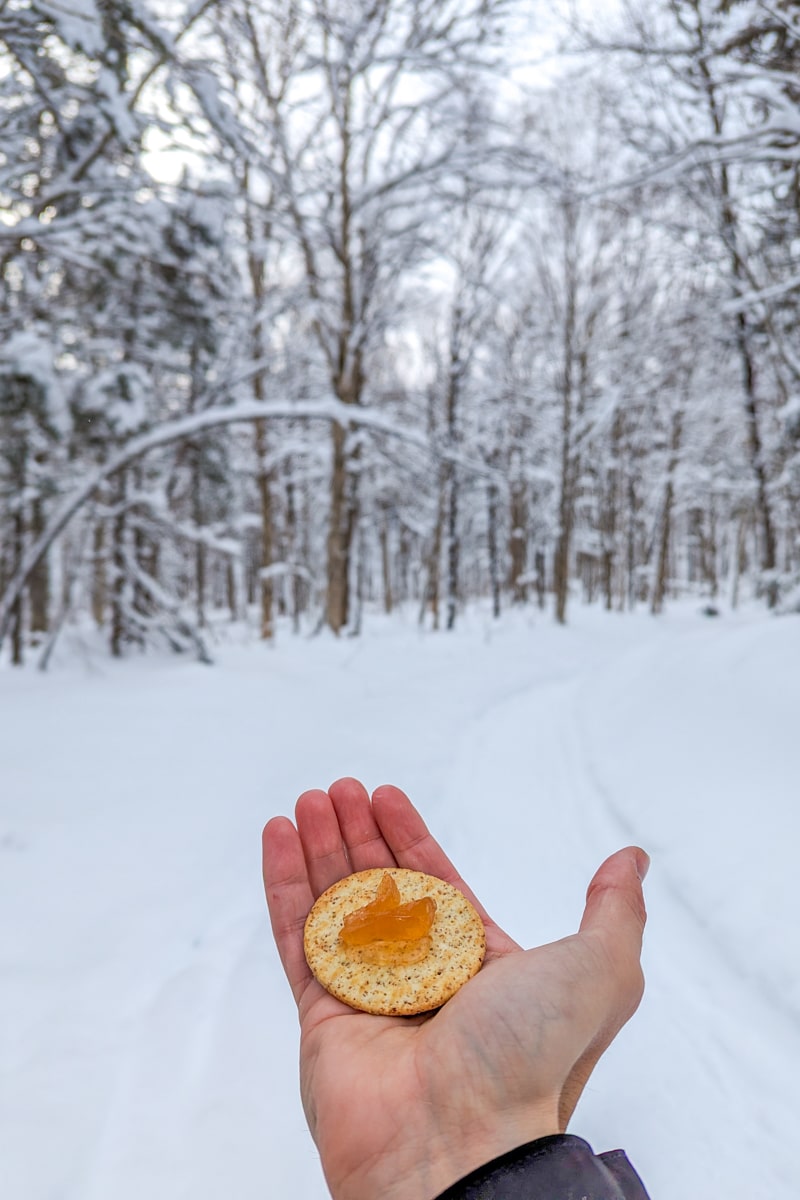 Dégustation de biscuits, parc de la Jacques Cartier