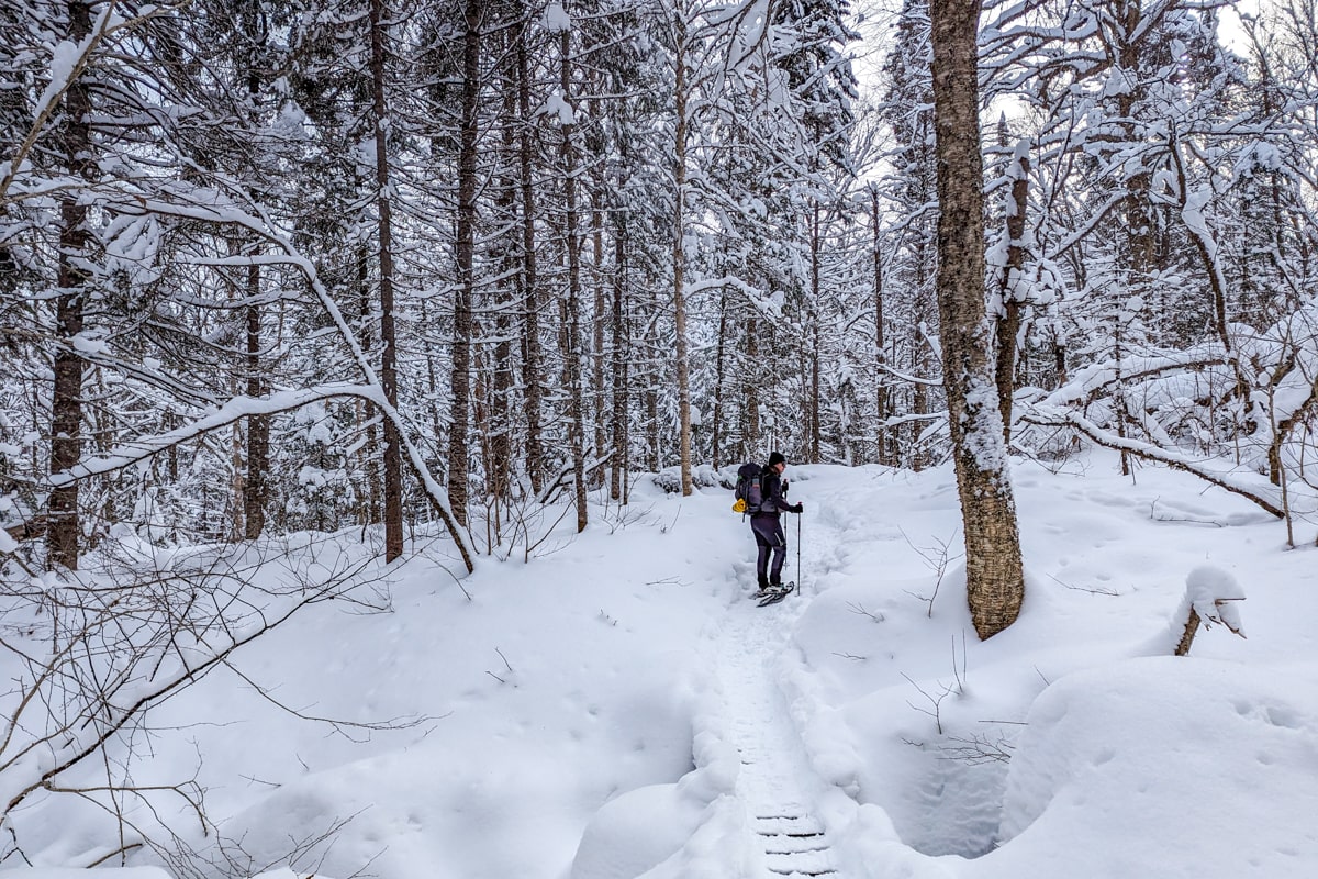 Raquettes dans la forêt au Quebec