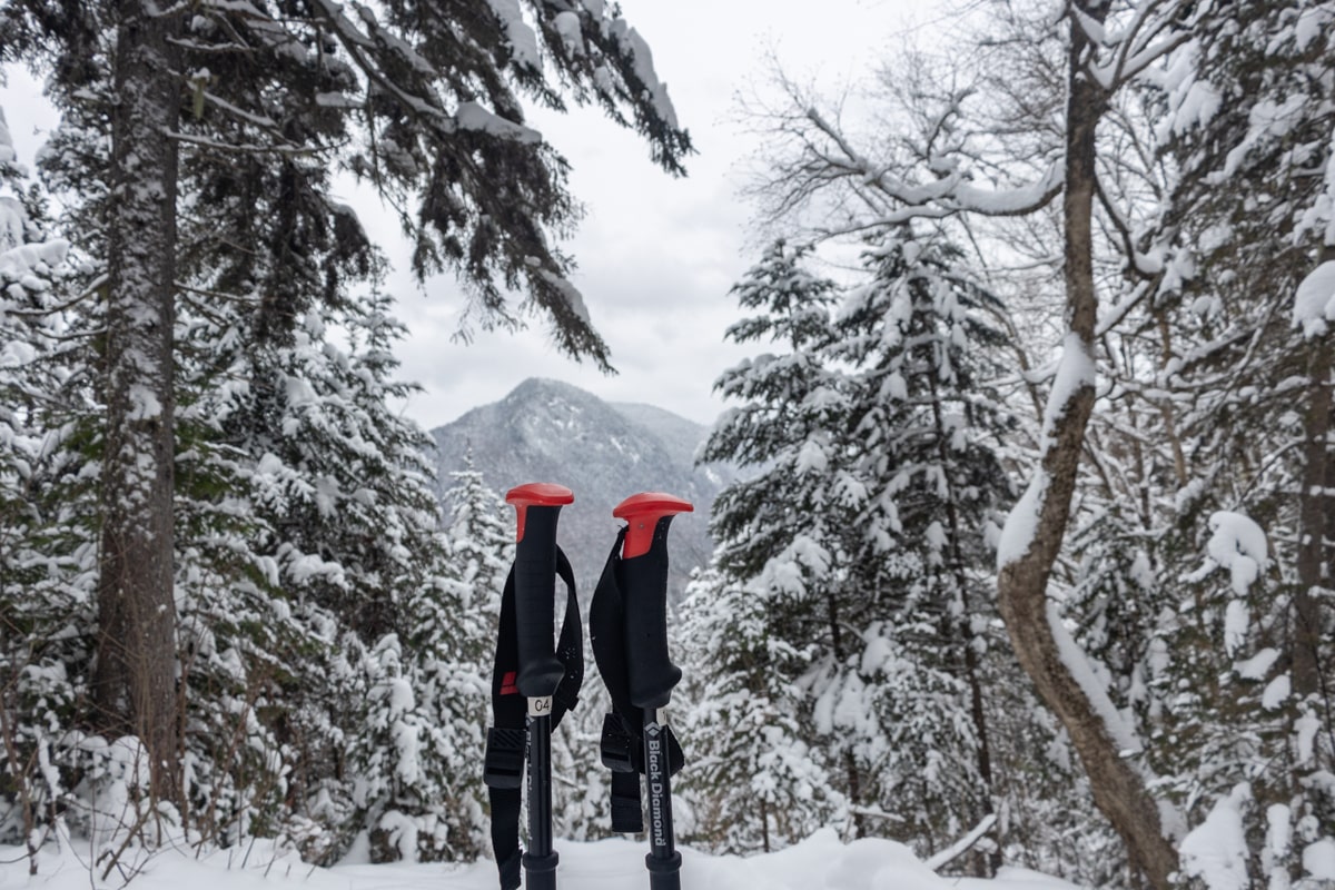 Point de vue, randonnée raquettes au Quebec