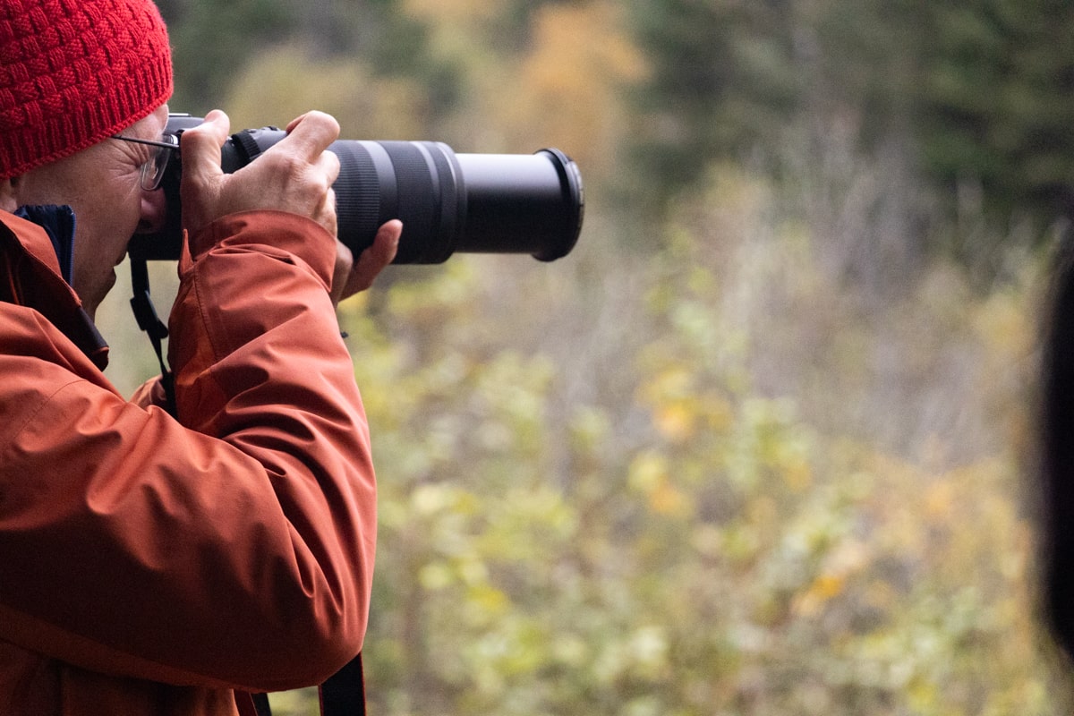 Appareil photo avec bon zoom pour voir les ours noirs à Tadoussac