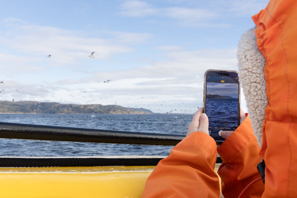 Personne qui prend en photo des phoques en excursion baleine à Tadoussac