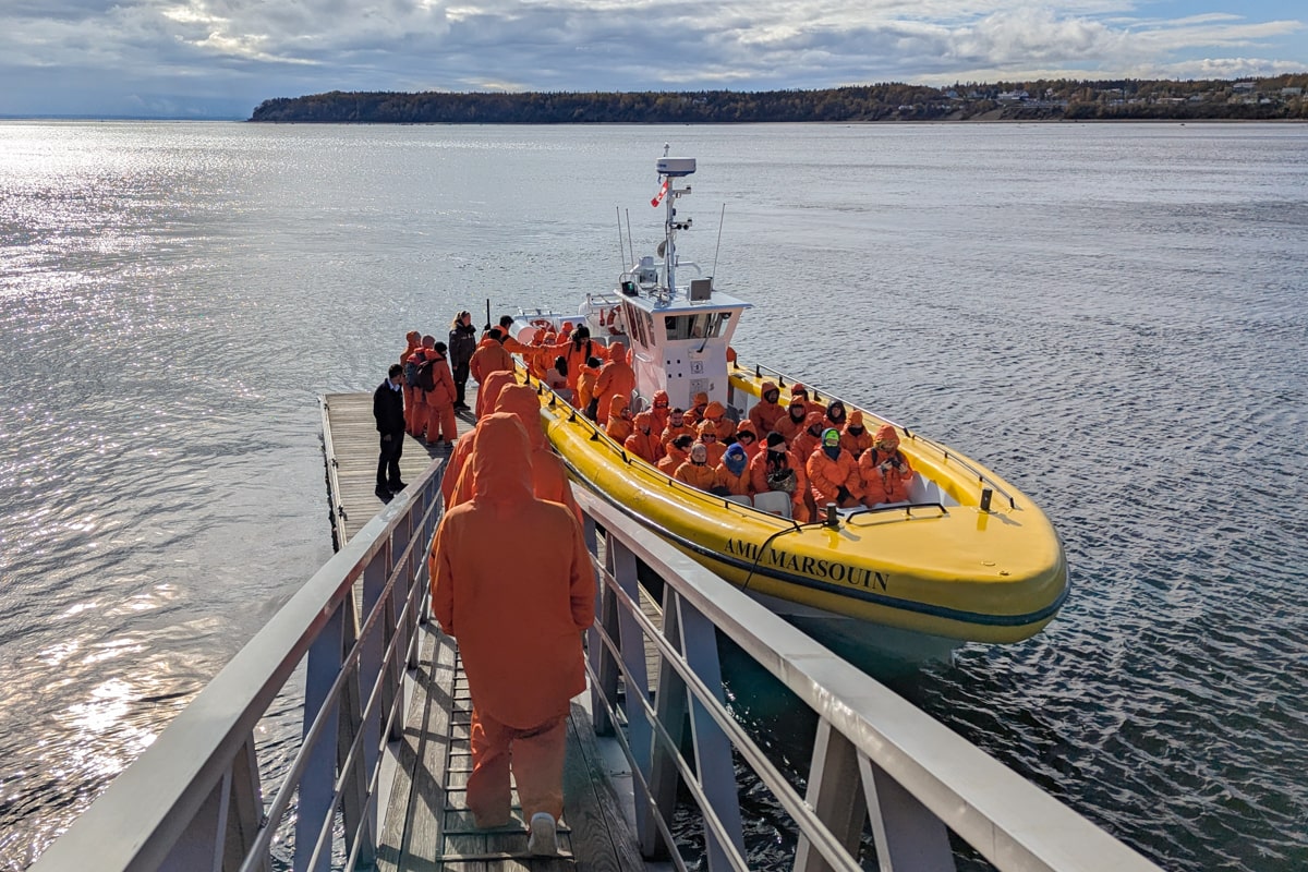 Observation des baleines en zodiac à Tadoussac