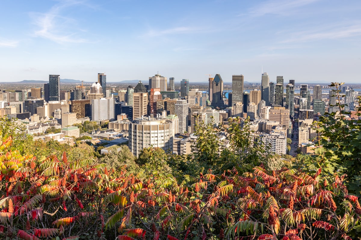 Vue sur Montréal depuis Mont Royal