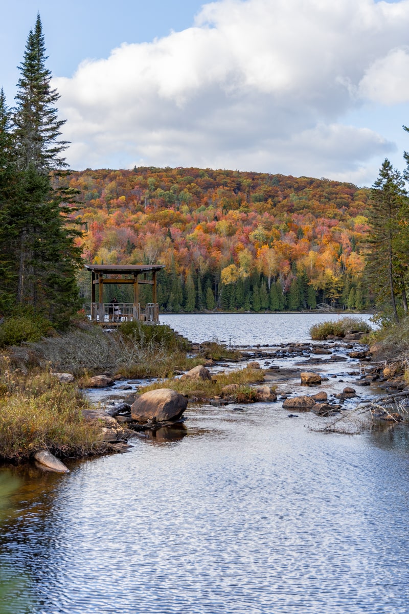 Vue sur un lac dans le Parc de la Mauricie