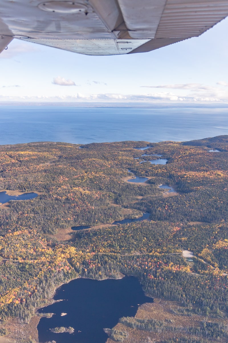 Survol des forêts près de Tadoussac en automne