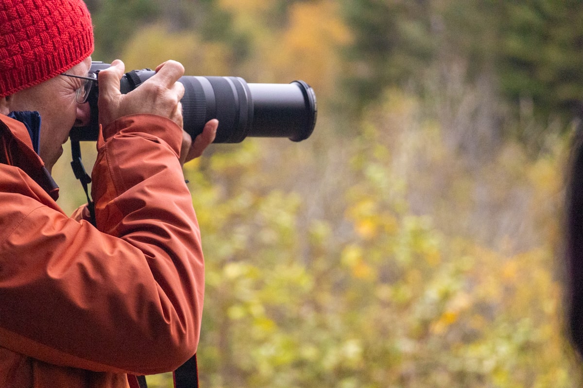 Appareil photo avec un bon zoom pour photographier les ours noirs