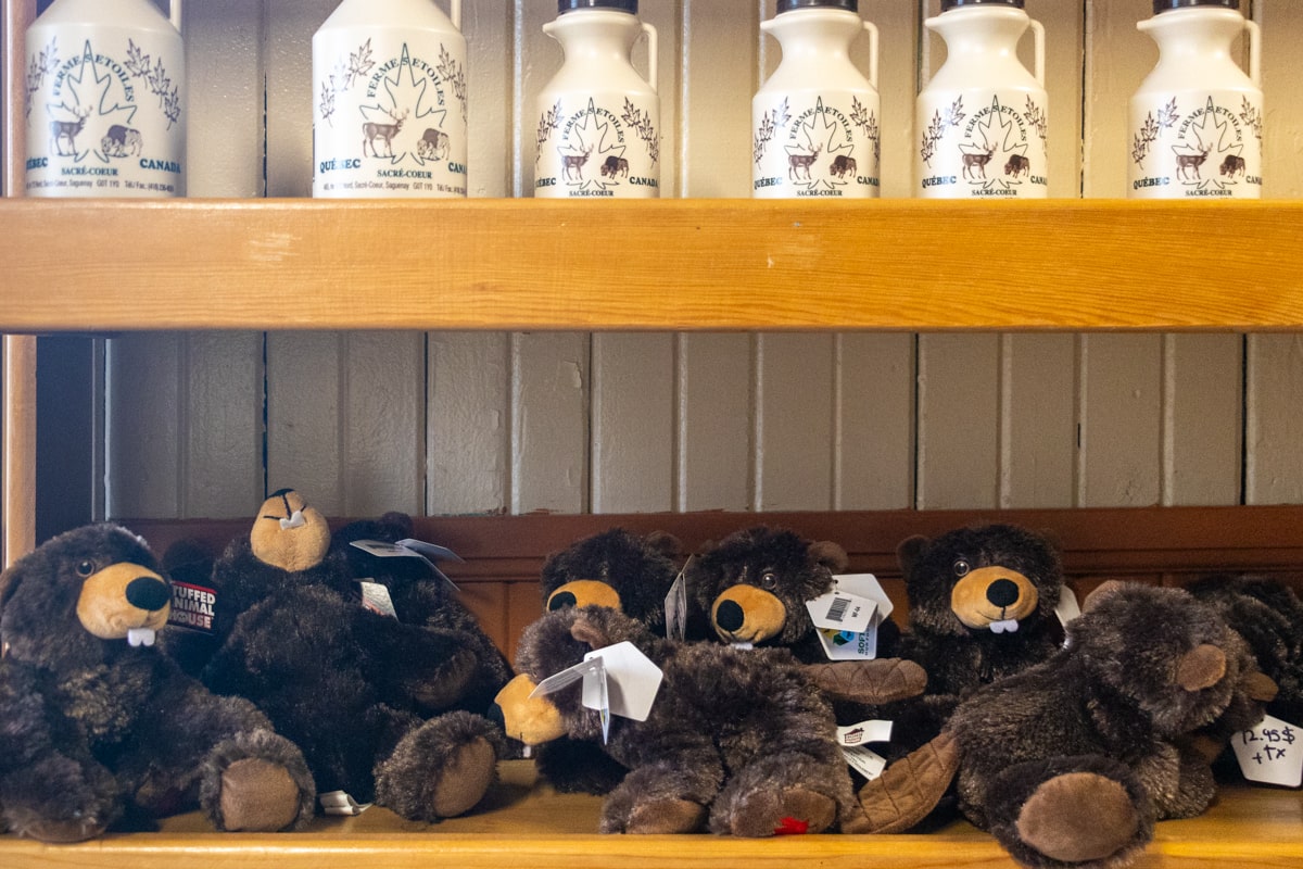 Boutique de souvenirs à la fin de l'observation des ours noirs