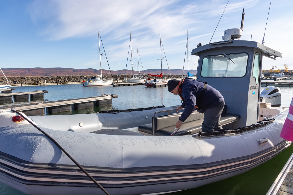 Faire une croisière en zodiac pour observer les baleines en Gaspésie