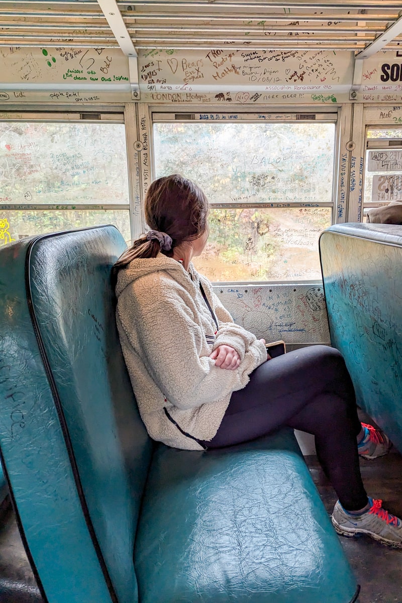 Personne dans le bus américain pendant l'observation des ours noirs à Tadoussac