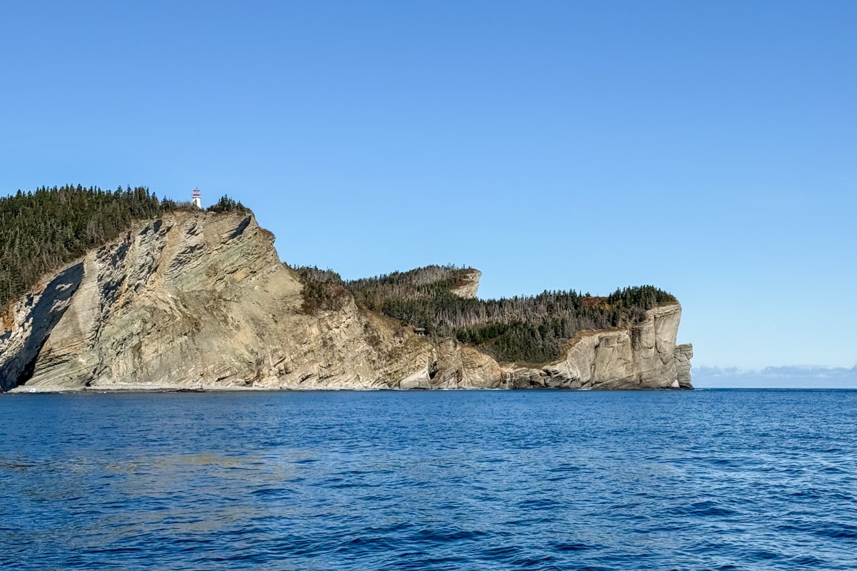 Croisière autour du Parc National de Forillon en Gaspésie