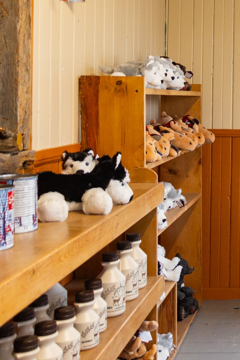 Peluches souvenirs de l'activité des ours noirs