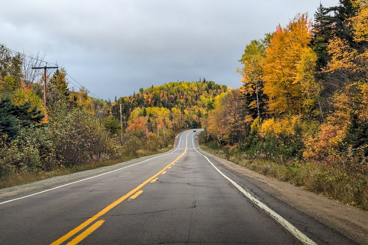 Route entre Tadoussac et Sacré-Cœur entourée de forêt