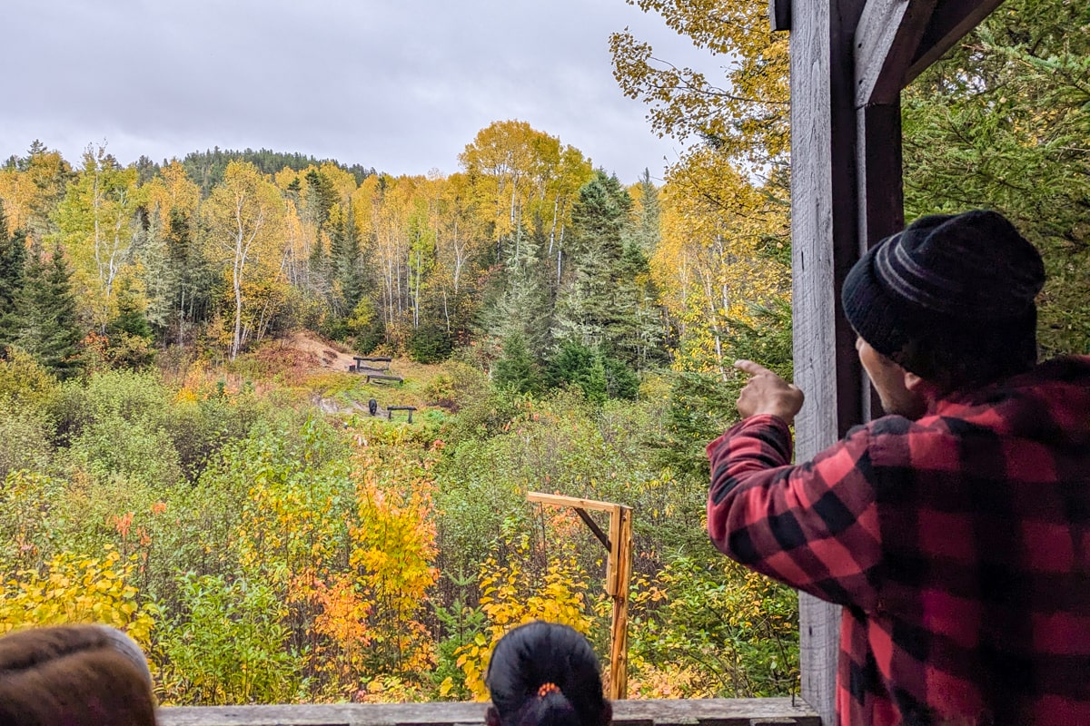 Explication du guide lors de l'observation des ours noirs à Tadoussac