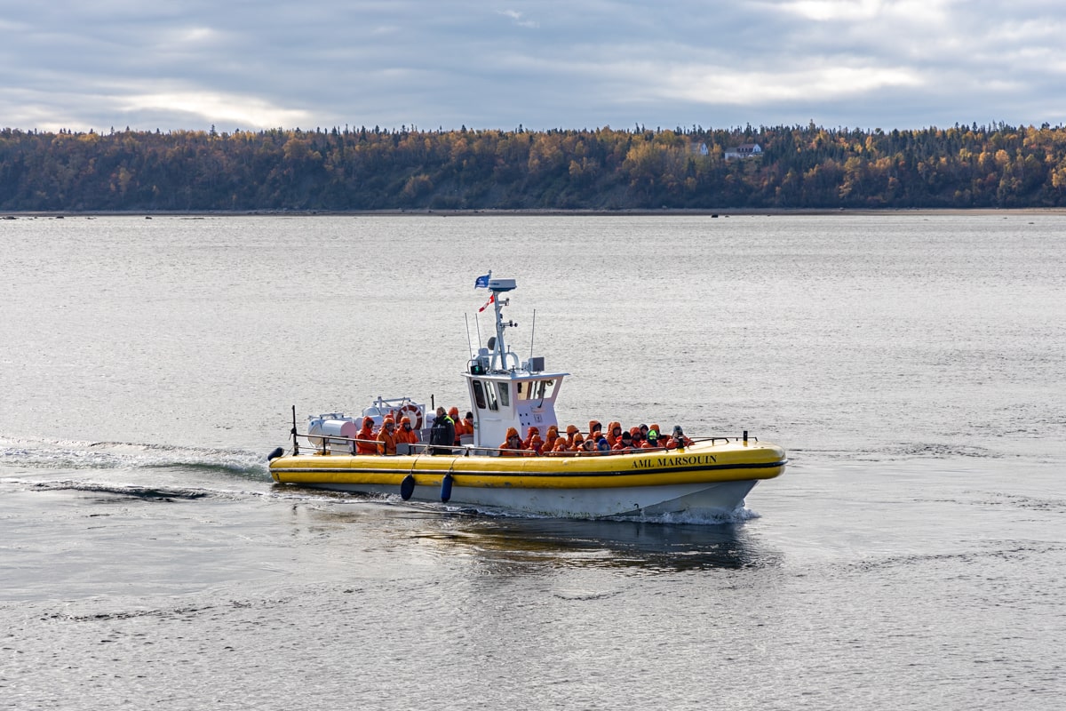 Observation des baleines à Tadoussac depuis un zodiac