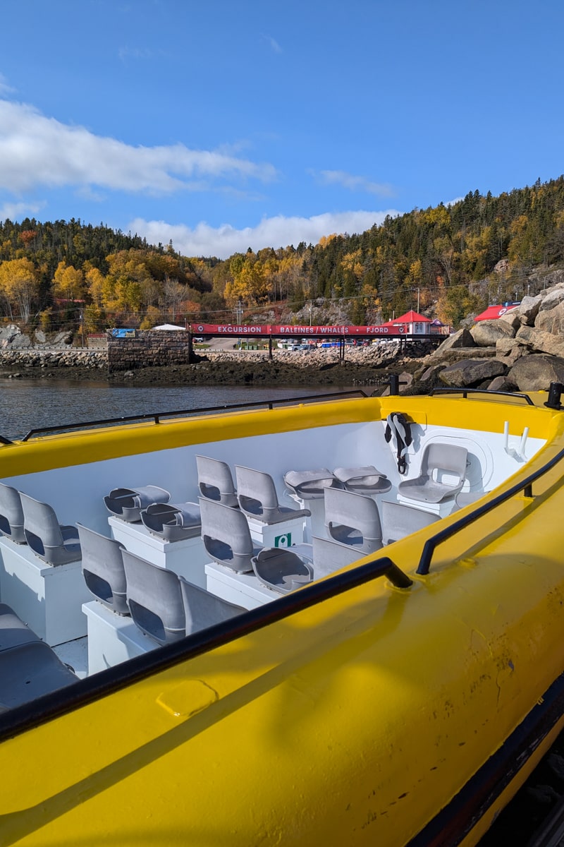 Observation des baleines en zodiac à Tadoussac