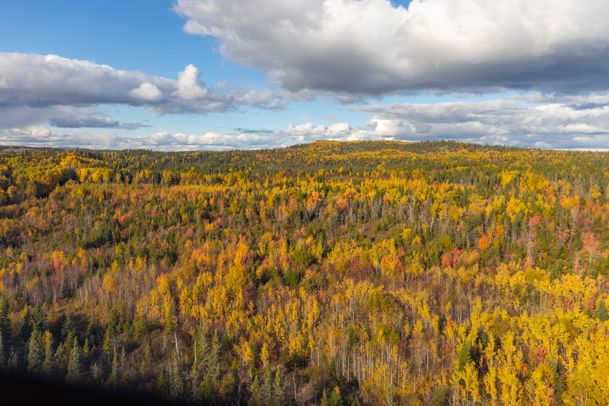 Paysage québécois automnale depuis un avion