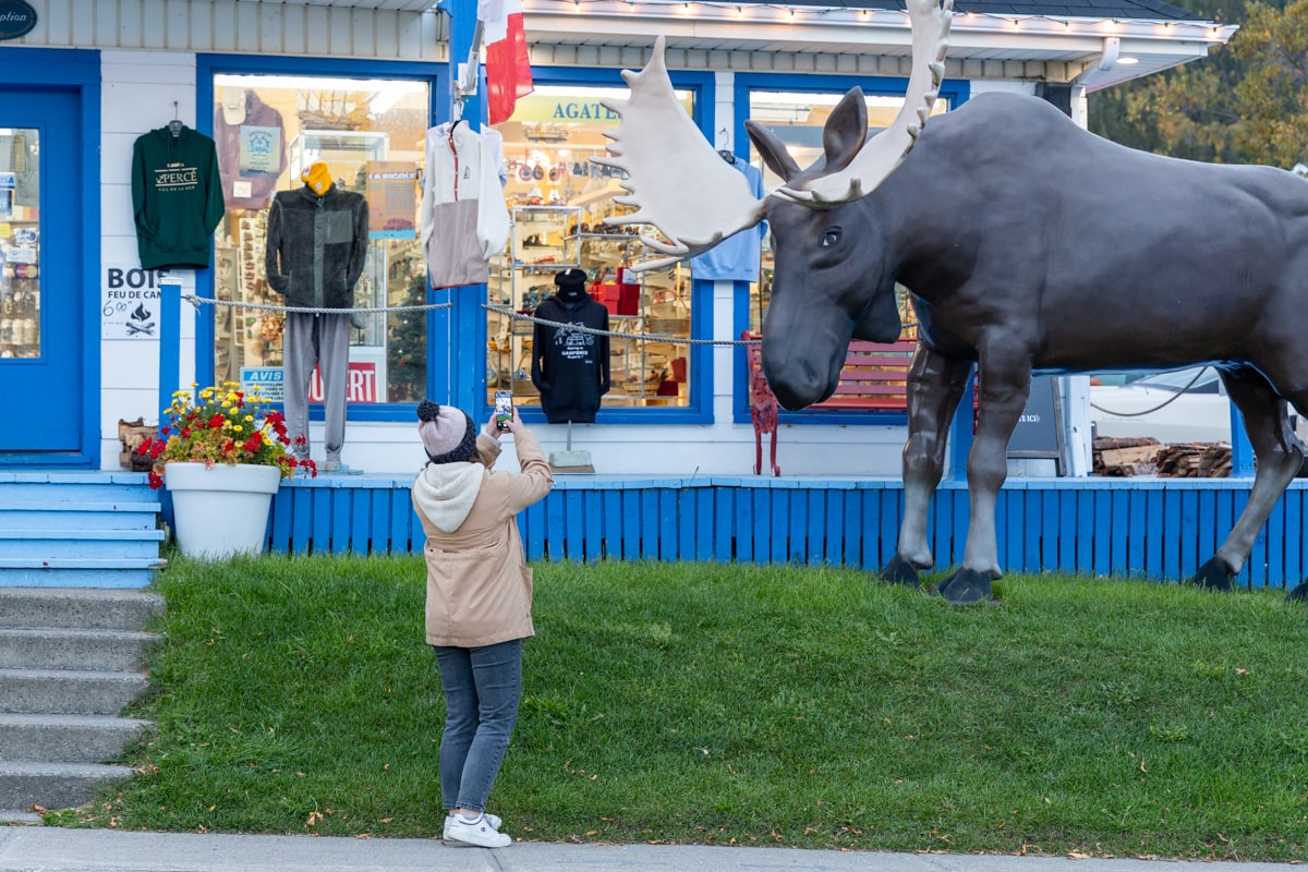 Photo d'une boutique souvenir avec une statue d'orignal