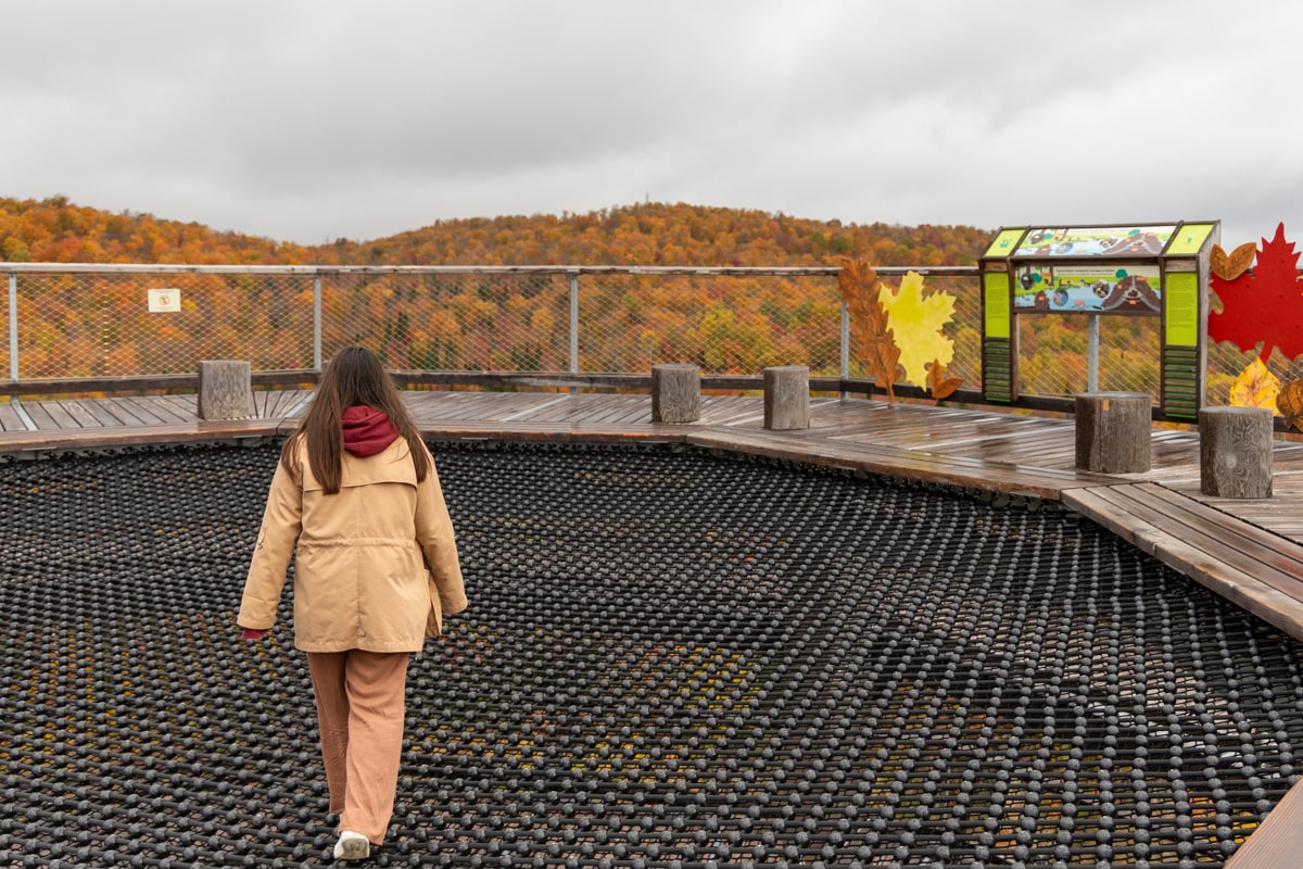 Personne sur le filet suspendu en haut de la tour panoramique