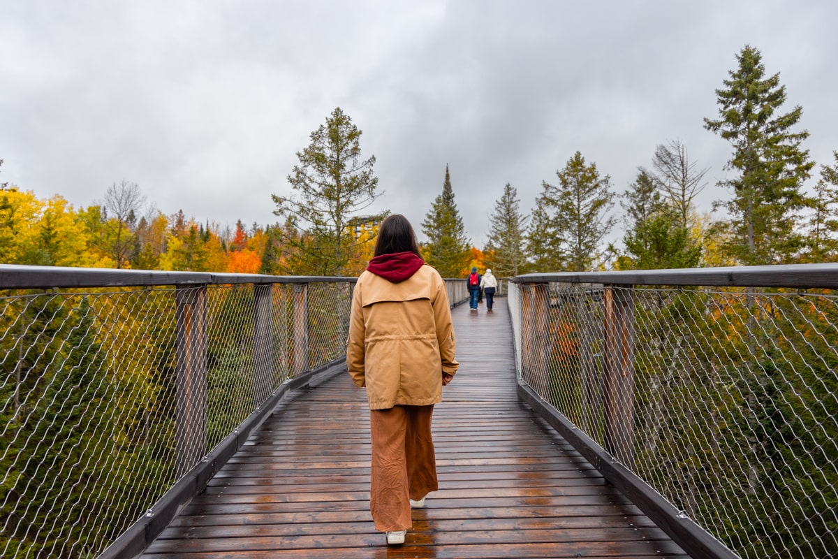 Passerelle en bois du sentier des Cimes