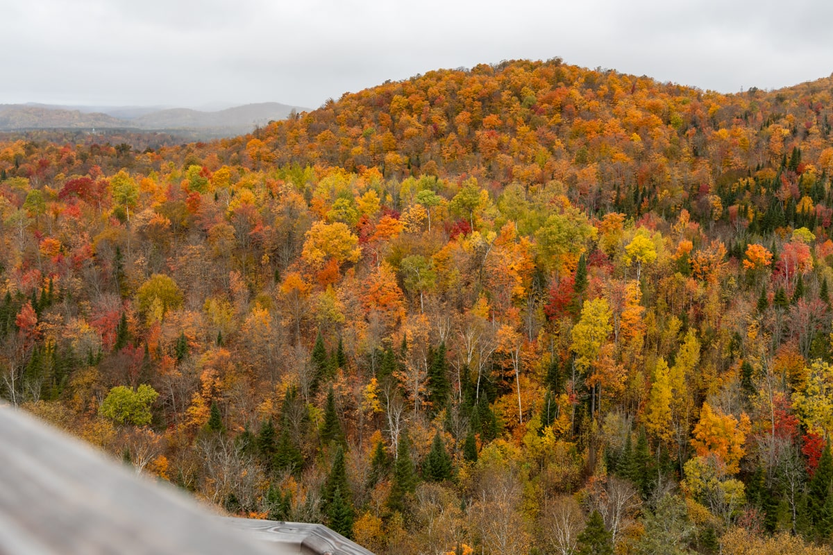 Paysage des forêts laurentiennes en automne, au Québec