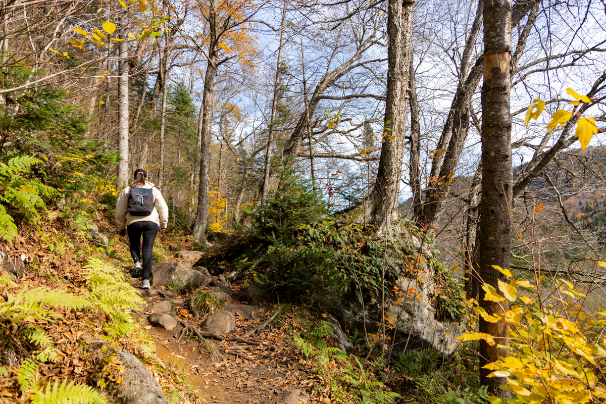 Sentier de randonnée dans le parc Jacques-Cartier