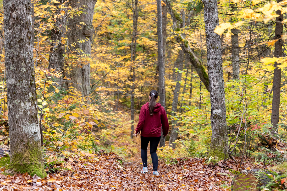 Randonnée dans le parc national de la Mauricie