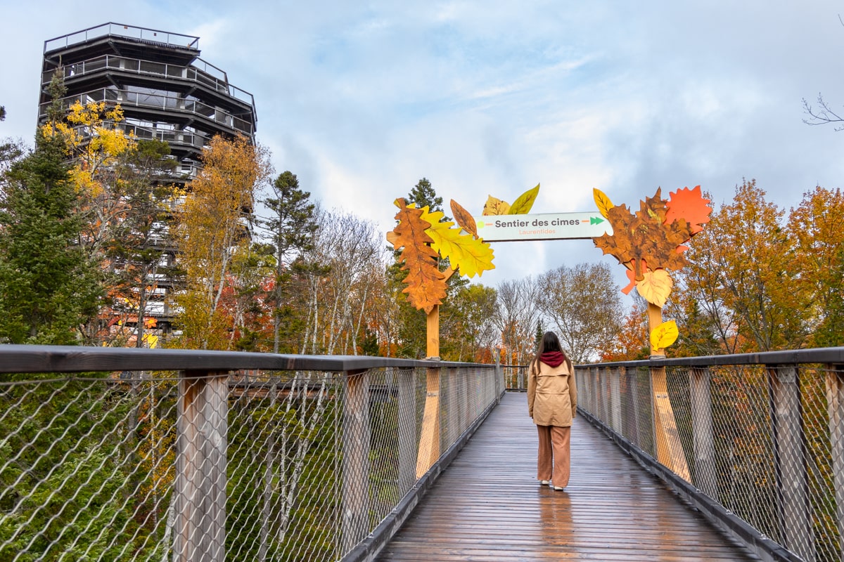 Le sentier des Cimes en automne