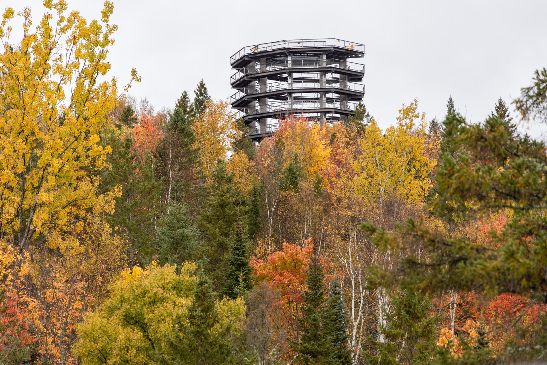 Le sentier des Cimes Laurentides, Mont Tremblant