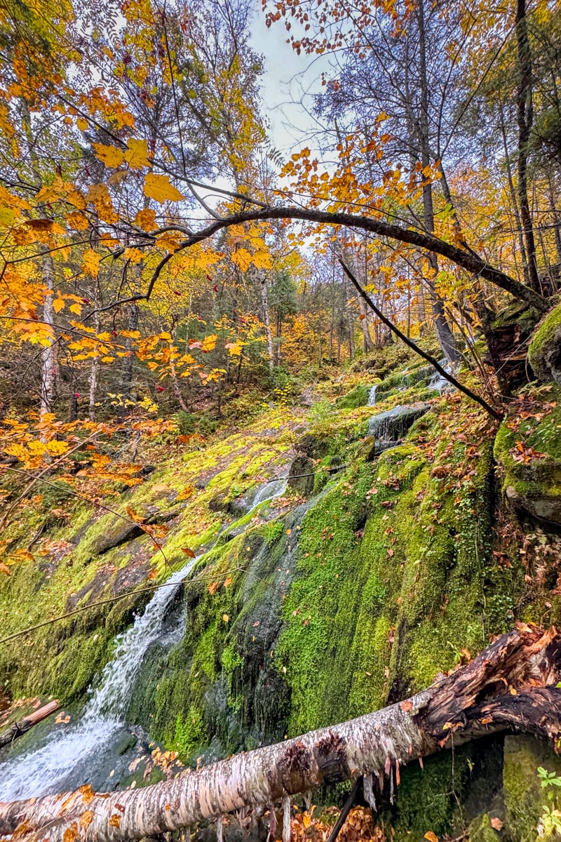 Cascade dans le parc du fjord
