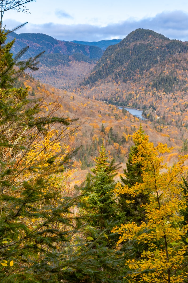 Paysage automnale dans le parc Jacques-Cartier