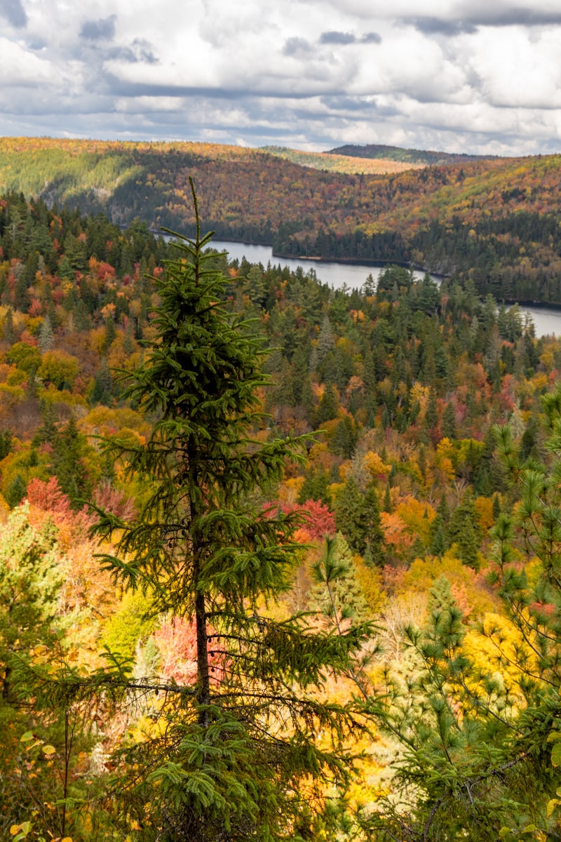 Parc national de la Mauricie en automne