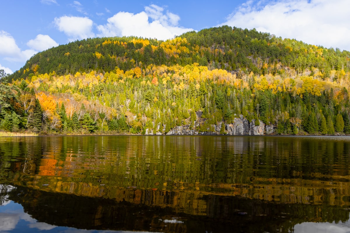 Paysage lac et forêt